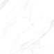 Керамограніт Ceramica Deseo 38745 CARRARA MATT 60х60 см 600493 фото 2