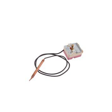 Термостат капиллярный Thermo Alliance, 75&plusmn;5 &deg;С (36300090) SD00032672 фото