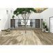 Керамогранит Almera Ceramica Irati Roble 23x120 см 441833 фото 2
