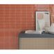 Плитка WOW Fayenza Coral Gloss 6,2х12,5 см 540030 фото 2