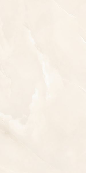 Плита керамогранит 600*1200 мм. 100567 фото
