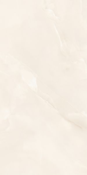 Плита керамогранит 600*1200 мм. 100567 фото