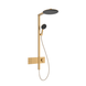 RAINDANCE ALIVE S душевая система Showerpipe 300, 1jet, с термостатом, шлифованная бронза 100493 фото 1