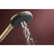 RAINDANCE ALIVE SELECT S ручний душ (3 типи струменів RainAir, PowderRain, Massage), шліфованна бронза 100391 фото 3