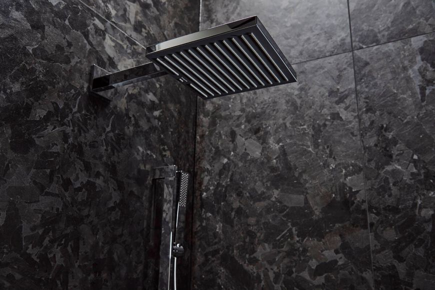 PULSIFY E ручной душ 1 режим, Ecosmart, цвет хром 92869 фото