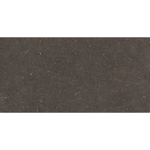 Керамогранит Geotiles Vincen Anthracite 60x120 см 596299 фото