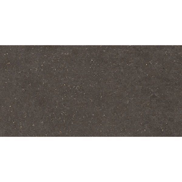 Керамогранит Geotiles Vincen Anthracite 60x120 см 596299 фото