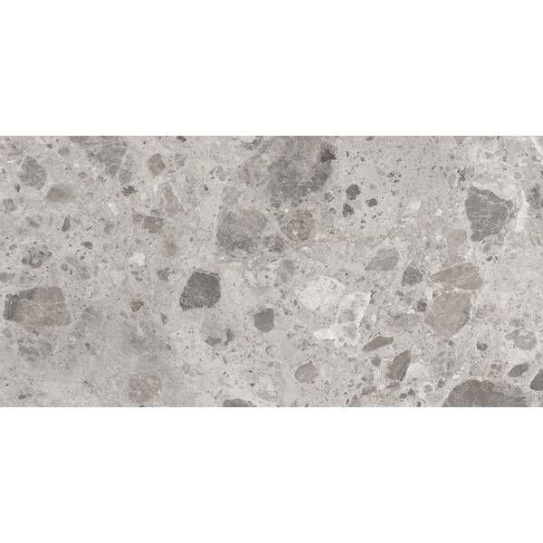 Керамогранит Ceramica Deseo Ambra Серый L72980 60Х120 см 588006 фото