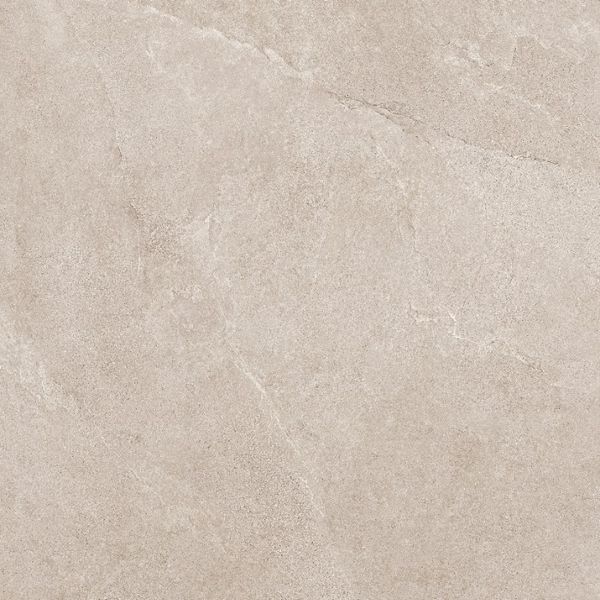 556583 фото