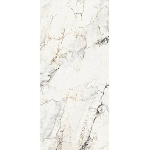 Керамограніт La Faenza Aesthetica Ae Pao6 260 Lp 120x260 см 526975 фото