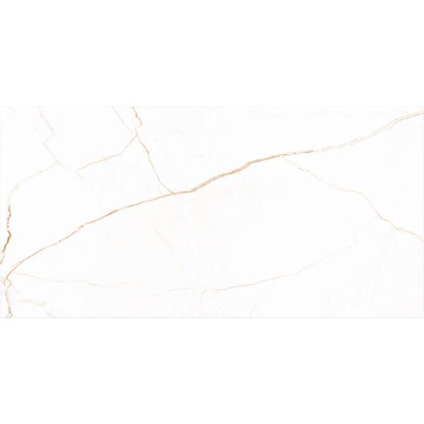 Керамограніт Almera Ceramica-2 Harmony Sne Brown 60х120 см 602561 фото
