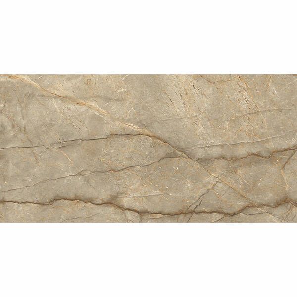 Плитка Ceramica Deseo Aristo Brown 60x120 см 542844 фото