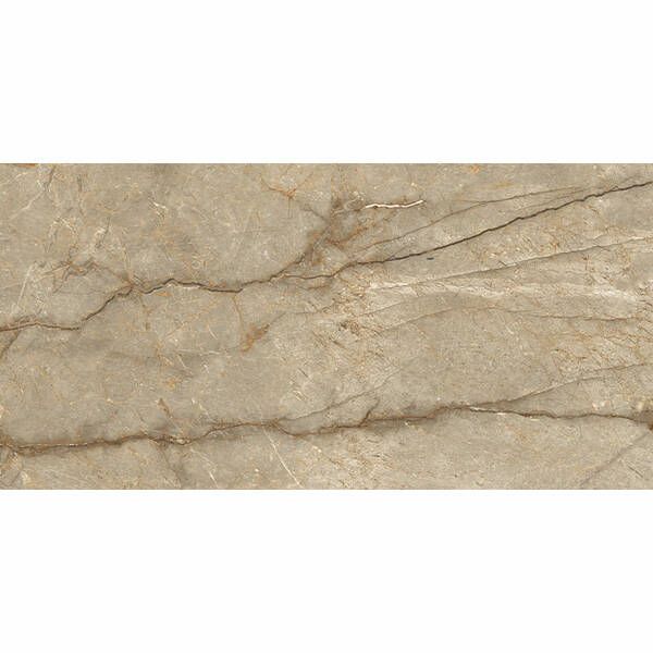 Плитка Ceramica Deseo Aristo Brown 60x120 см 542844 фото