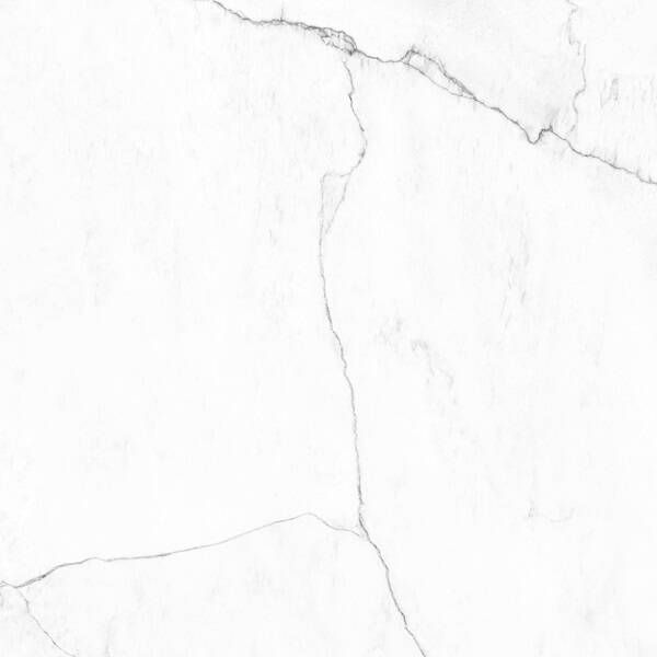 Керамограніт Almera Ceramsca (Spain) Lab. Bianco Mare Bianco 120x120 см 578686 фото