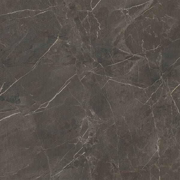 Керамогранит Porcelanosa Brescia Moka L 100388449 120х120 см 605008 фото