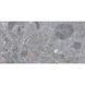 Керамограніт Cersanit Castello Light Grey Matt 29,8x59,8 см 539178 фото 1