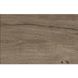 Керамограніт Cersanit Wildwood Brown Mat Rect 19,8х119,8 см 579348 фото 3