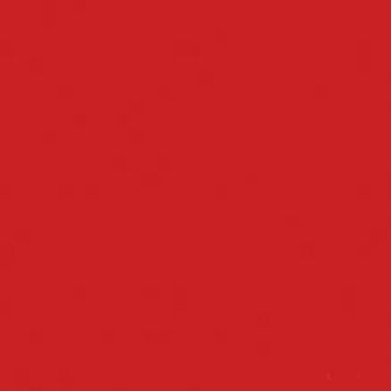 COLOR TWO GAA1K459 red matt (1 сорт) 371011 фото