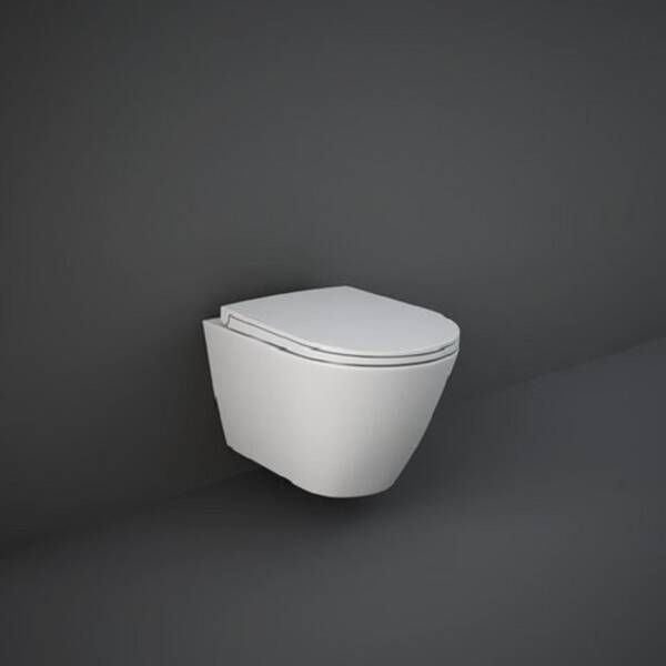 Унитаз подвесной RAK Ceramics Feeling RST23500A Rimless 450925 фото