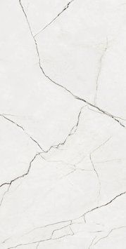 Керамогранітна плитка Eleganza White F P 60*120 R Full Lappato 1 60134178 фото