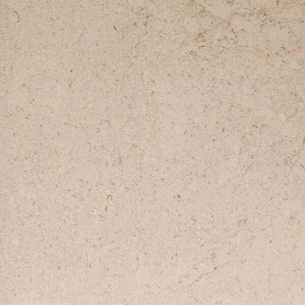 Керамограніт Porcelanosa Dorcia Bone L 80X80(A) 100348054 80х80 см 564110 фото