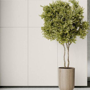 Керамограніт Cerrad Monolight Exterior White Rect 60x60 см 594143 фото