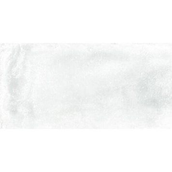 Керамограніт Almera Ceramica (Spain) Iron White 60х120 см 536046 фото
