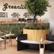 Керамограніт Almera Ceramica (Spain) Mixtik Terracota 4.8х44.5 см 596666 фото 8