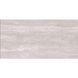 Плитка Dual Gres Coliseo Silver 30x60 см 390166 фото 1