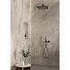 Керамограніт Imola The Rock FIBOSC6 278 RM 120х278 см 582758 фото 4