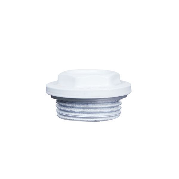 Заглушка радиаторная Thermo Alliance Standart 1" левая SD11725S SD00004604 фото