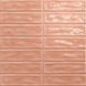 Плитка Ceramica Deseo Sticks coral 20x20 см 575369 фото 1
