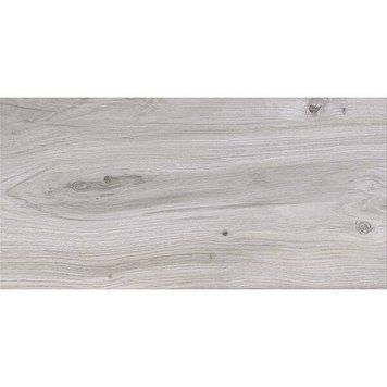 Керамогранит Cersanit Gilberton Light Grey 29,8x59,8 см 437541 фото