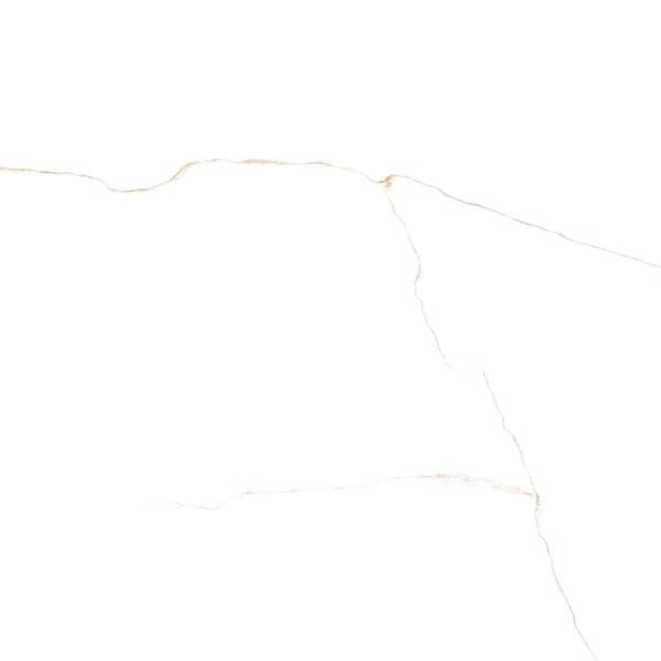 Керамограніт Almera Ceramsca (Spain) Lab. Bianco Mare Gold 120x120 см 578688 фото