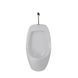 Пісуар підвісний Qtap Crow з краном-дозатором 390х330х660 White QT0588112HW SD00045970 фото 1
