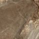 Керамограніт Almera Ceramica-2 Volcane Brown 120x120 см 588211 фото 4