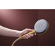RAINDANCE ALIVE SELECT S душевой набор EcoSmart (ручной душ 3 режима, шланг, держатель), шлифованная бронза 100495 фото 9