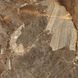 Керамограніт Almera Ceramica-2 Volcane Brown 120x120 см 588211 фото 2